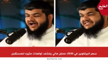 سعر البيتكوين في 2030: محلل مالي يكشف توقعات مثيرة للمستقبل